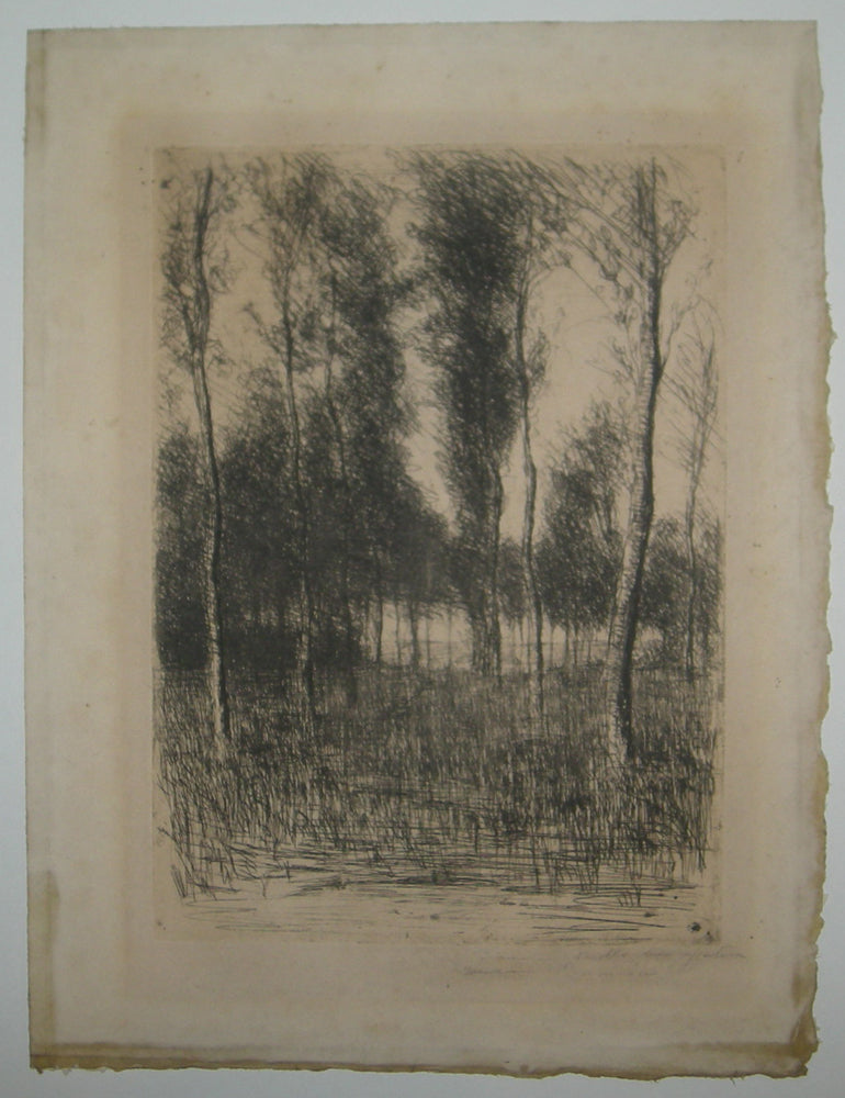 [Lisière de forêt]. 