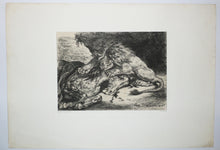 Charger l&#39;image dans la galerie, Lion dévorant un cheval.
