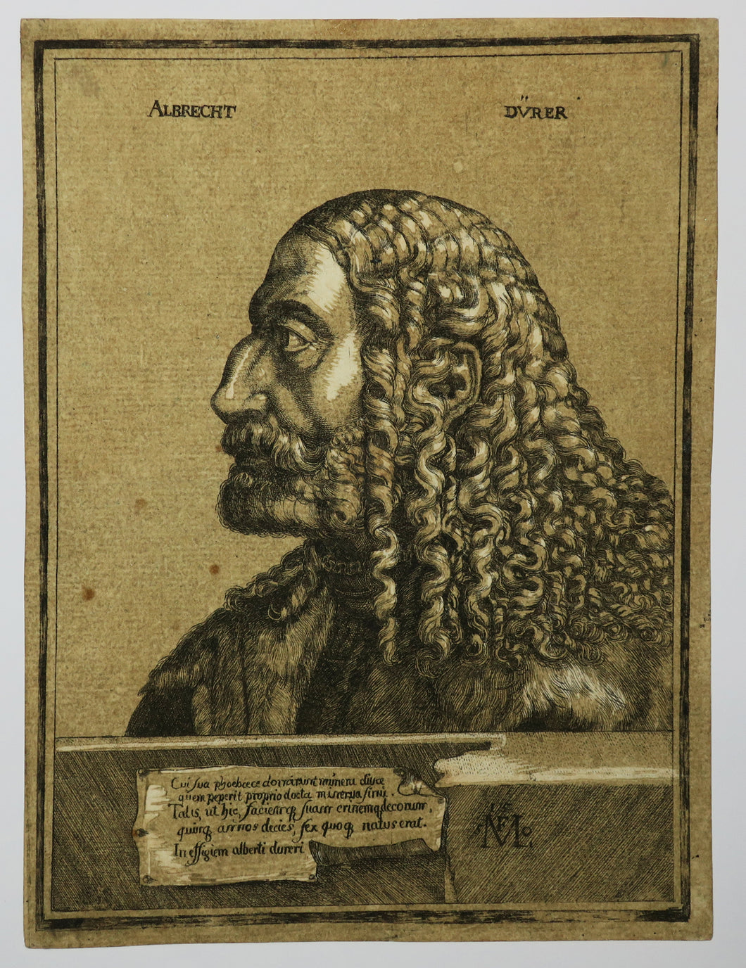 Portrait en buste d'Albrecht Dürer, de profil gauche, portant un manteau. 