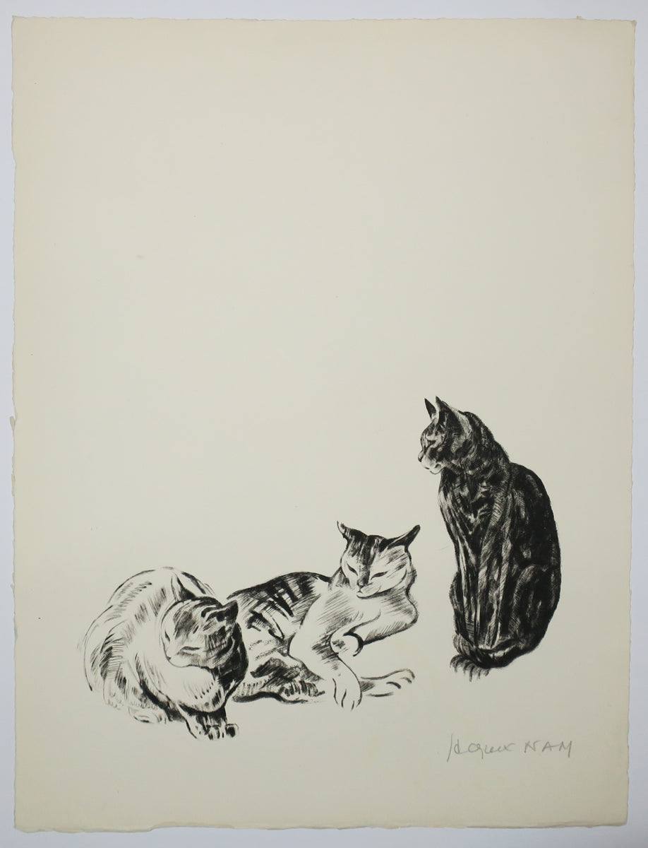 [Trois chats dont deux dormant]. 