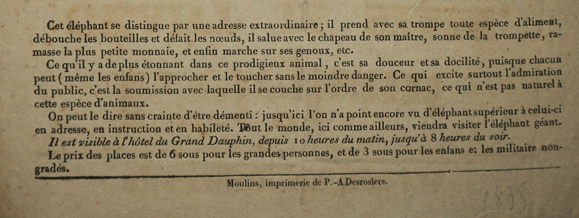L'Eléphant Géant de Siam, Eléphant des Indes. c.