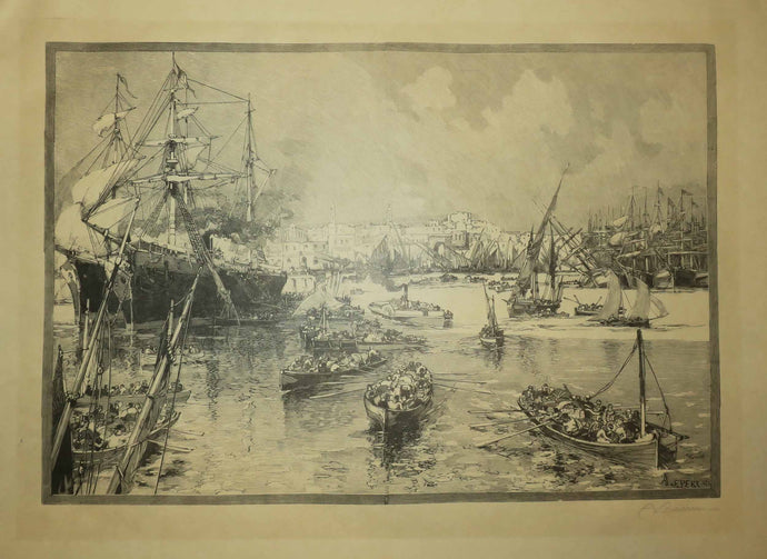 La panique d'Alexandrie, la flotte européenne devant Alexandrie.