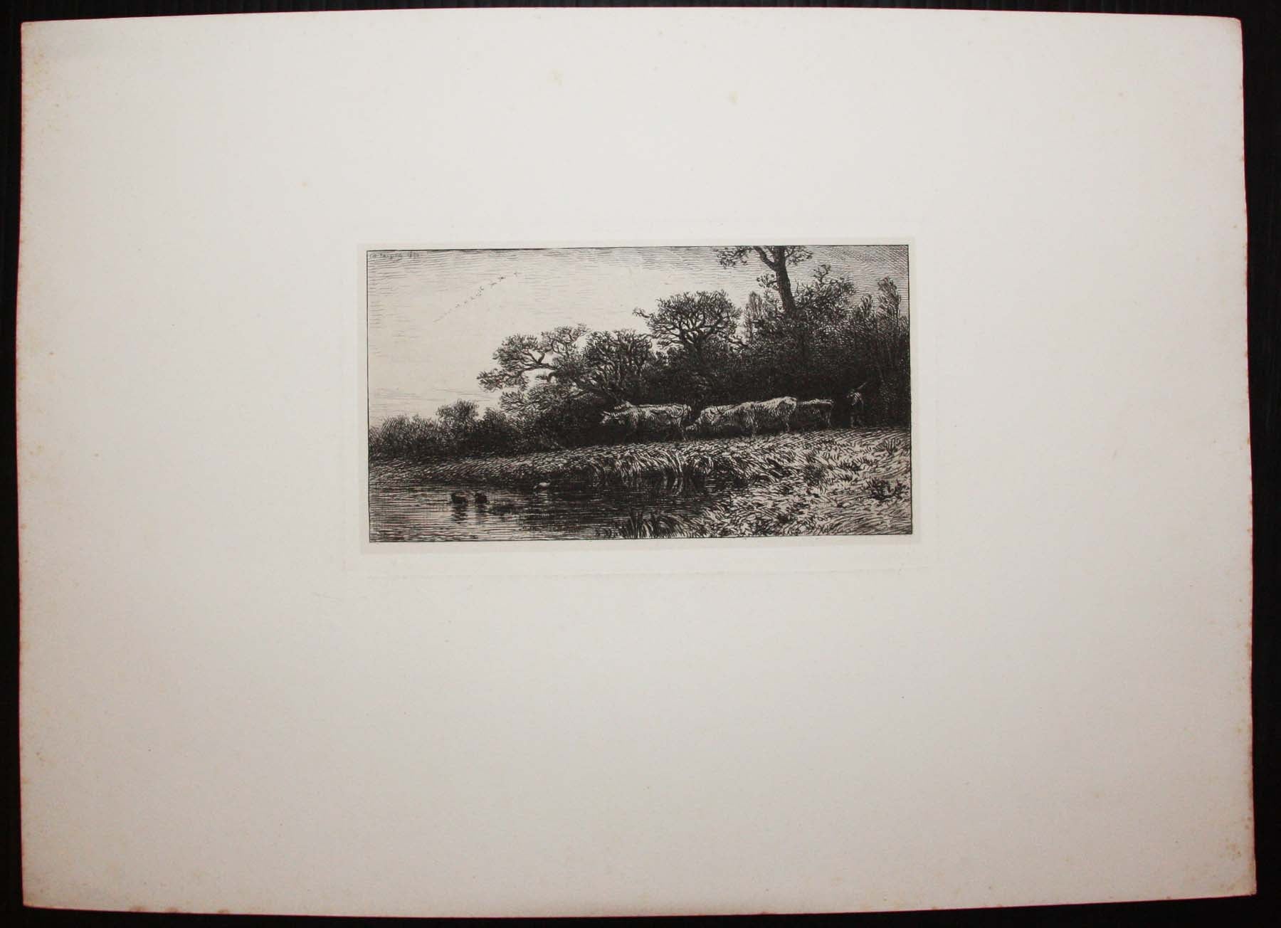 [Troupeau de vaches s'approchant d'une mare].