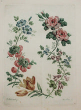 Charger l&#39;image dans la galerie, Planche de &quot;Nouvelle suite de cahiers de fleurs naturelles à l&#39;usage des dessinateurs et des peintres dessinés par Jean Pillement&quot;.
