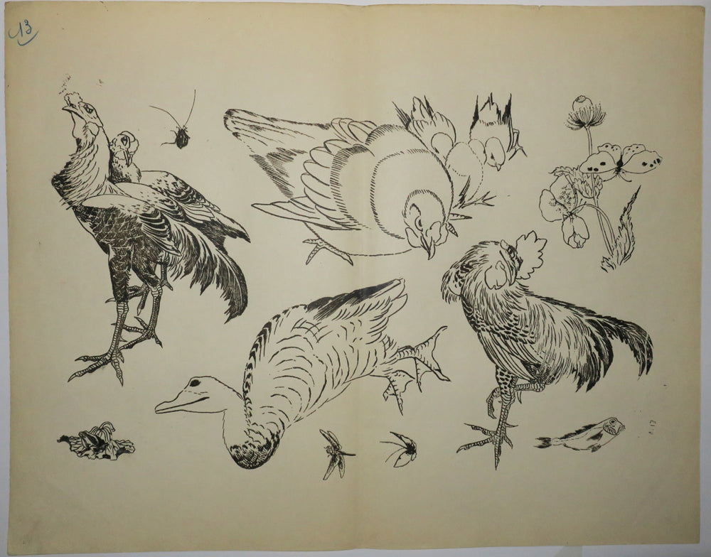 Coq, canards, etc…Motifs pour le décor d’un service de table en faïence de la maison Rousseau.