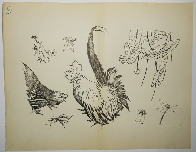 Un grand coq. Motifs pour le décor d’un service de table en faïence de la maison Rousseau.