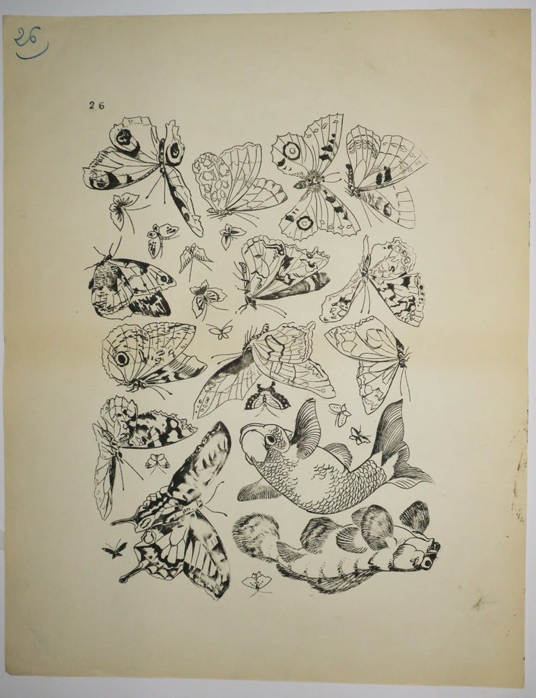 [Poissons et Papillons]. Motifs pour le décor d’un service de table en faïence de la maison Rousseau.