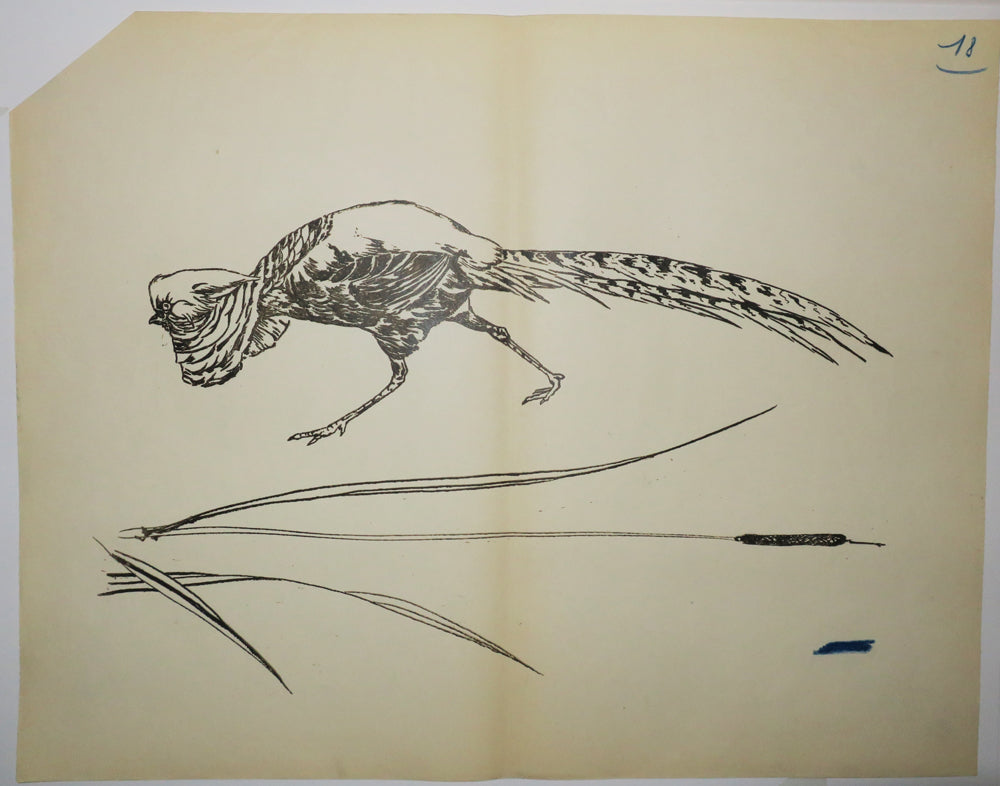 [Coq et roseau]. Motifs pour le décor d’un service de table en faïence de la maison Rousseau.