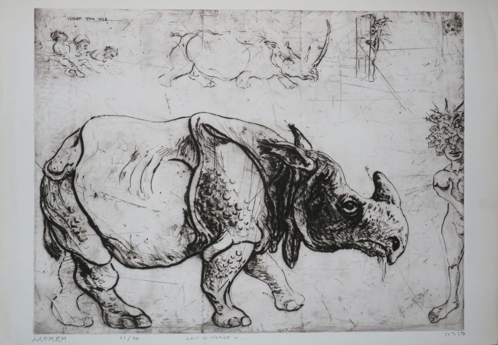 Lait de Vierge (Rhinocéros). 
