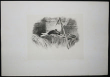 Charger l&#39;image dans la galerie, Pigeon sur son nid.
