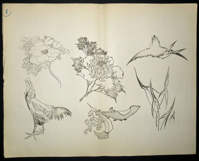 Hirondelle, coq, fleurs. Motifs pour le décor d’un service de table en faïence de la maison Rousseau.