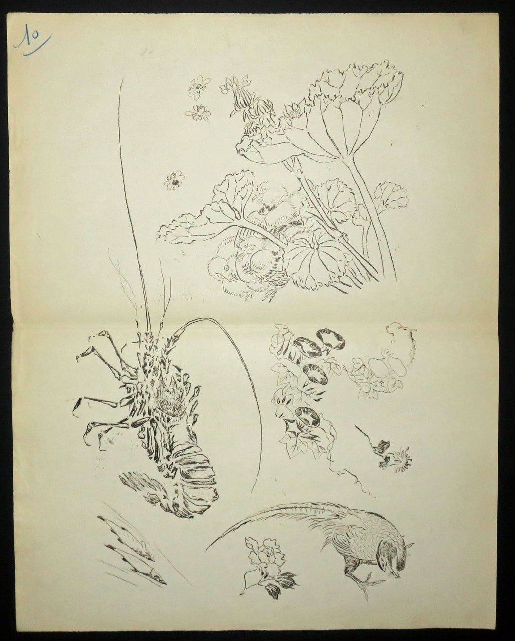 Langouste, plantes avec oiseaux. Motifs pour le décor d’un service de table en faïence de la maison Rousseau.