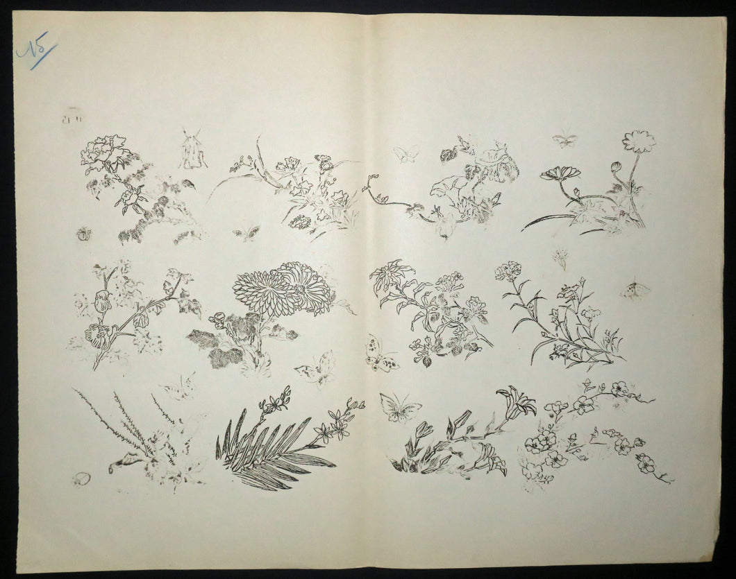 Fleurs et insectes. Motifs pour le décor d’un service de table en faïence de la maison Rousseau.