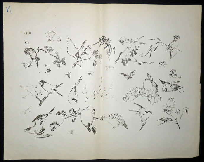 [Oiseaux et papillons]. Motifs pour le décor d’un service de table en faïence de la maison Rousseau.