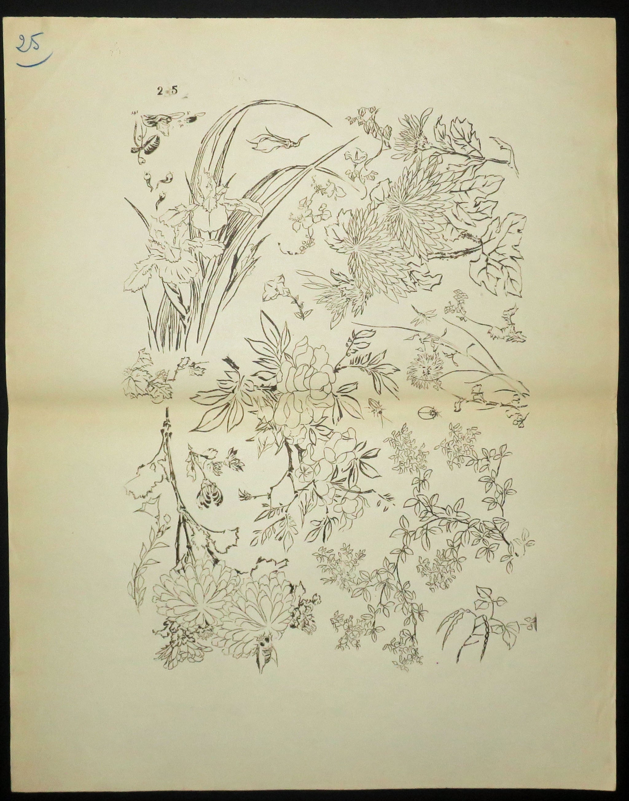 [Fleurs]. Motifs pour le décor d’un service de table en faïence de la maison Rousseau.