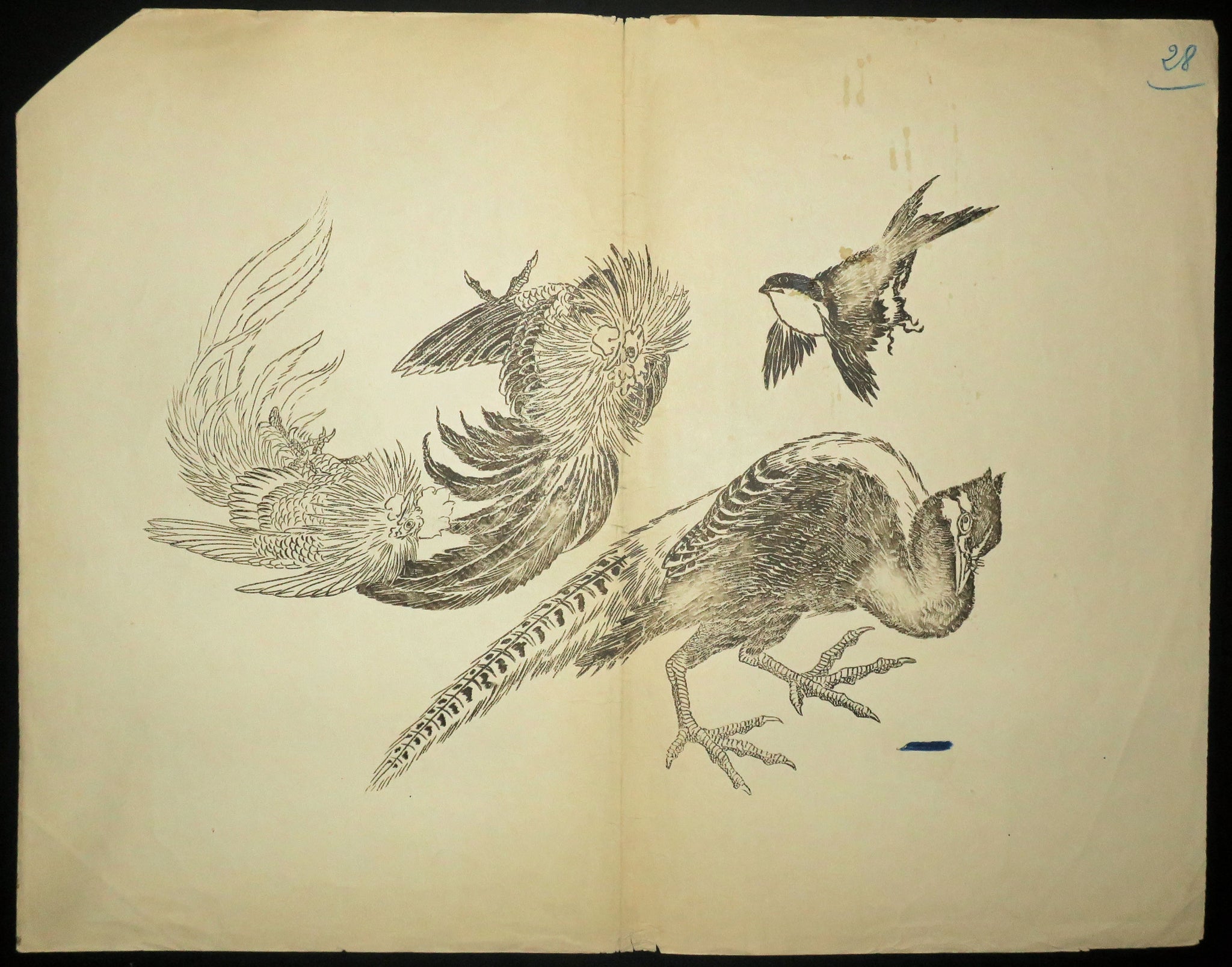 [Coq, faisan, oiseau]. Motifs pour le décor d’un service de table en faïence de la maison Rousseau.