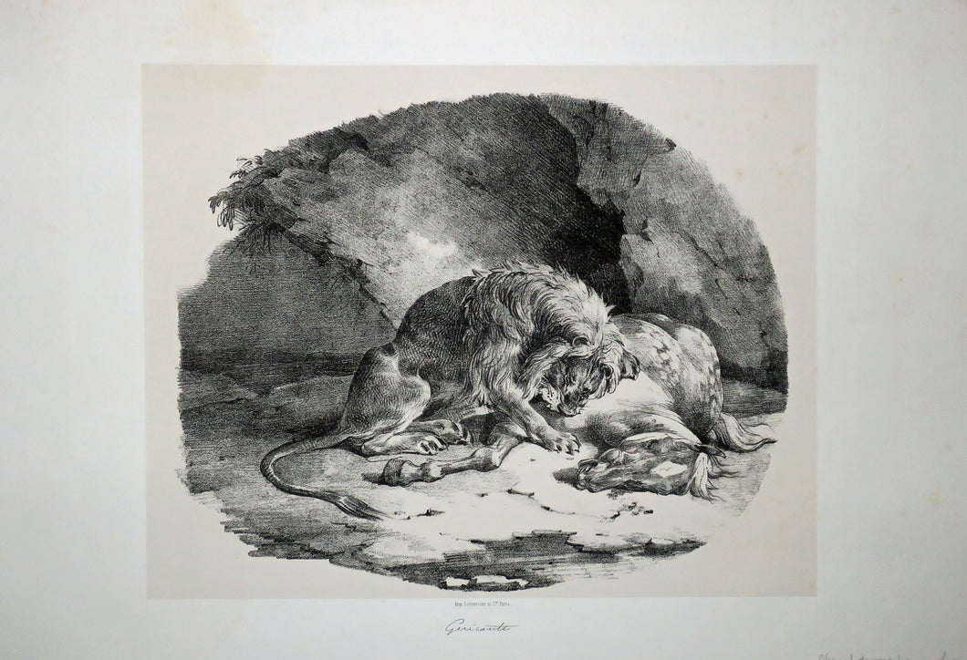 Cheval dévoré par un lion. 