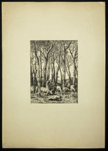 Charger l&#39;image dans la galerie, Dans le bois.
