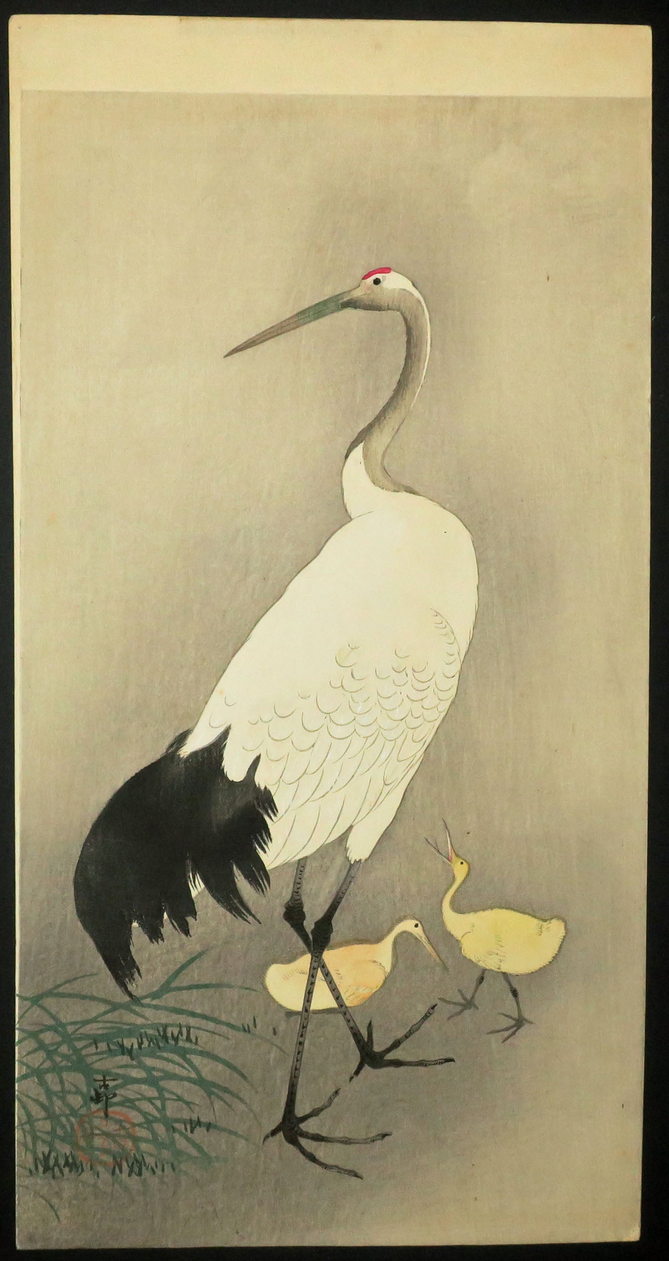 [Héron et ses deux petits]. 