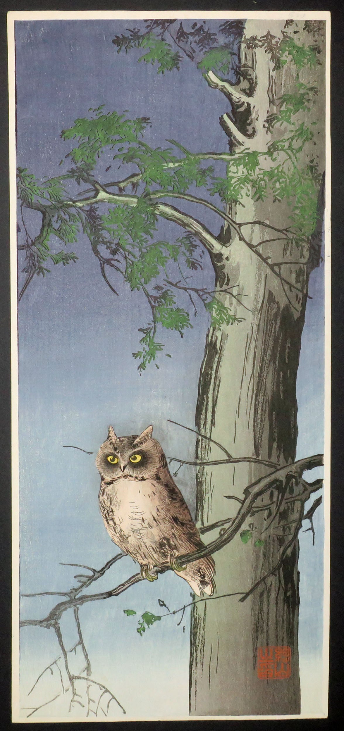 [Chouette sur un arbre]. 