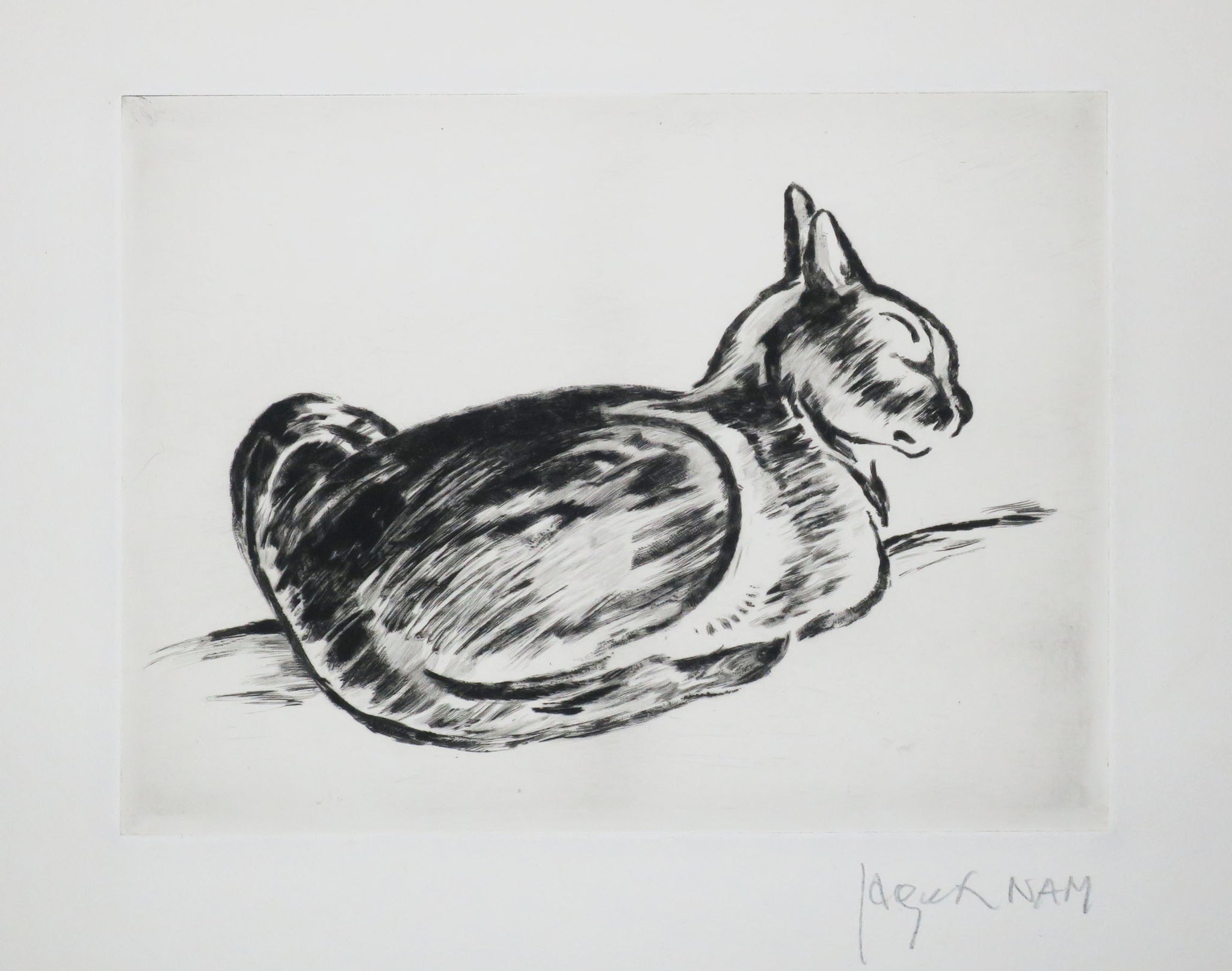 [Chat couché de profil]. 