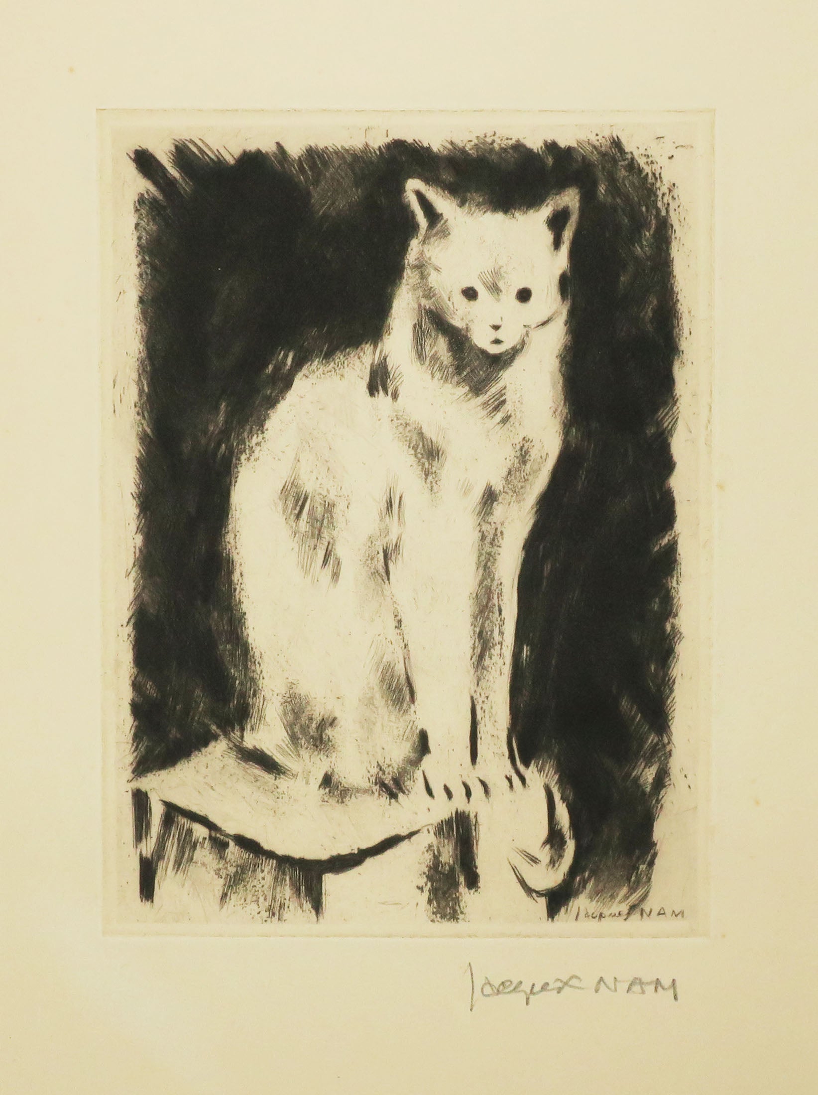 [Chat assis de face]. 