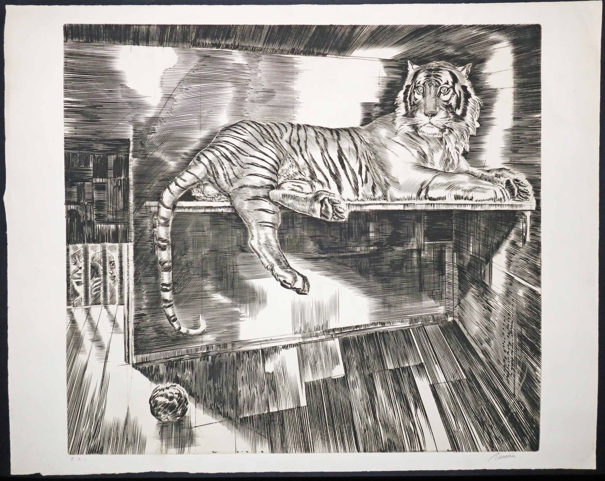 [Tigre couché]. 