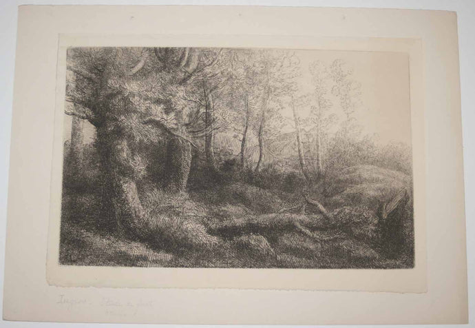 [Etude de forêt]. 