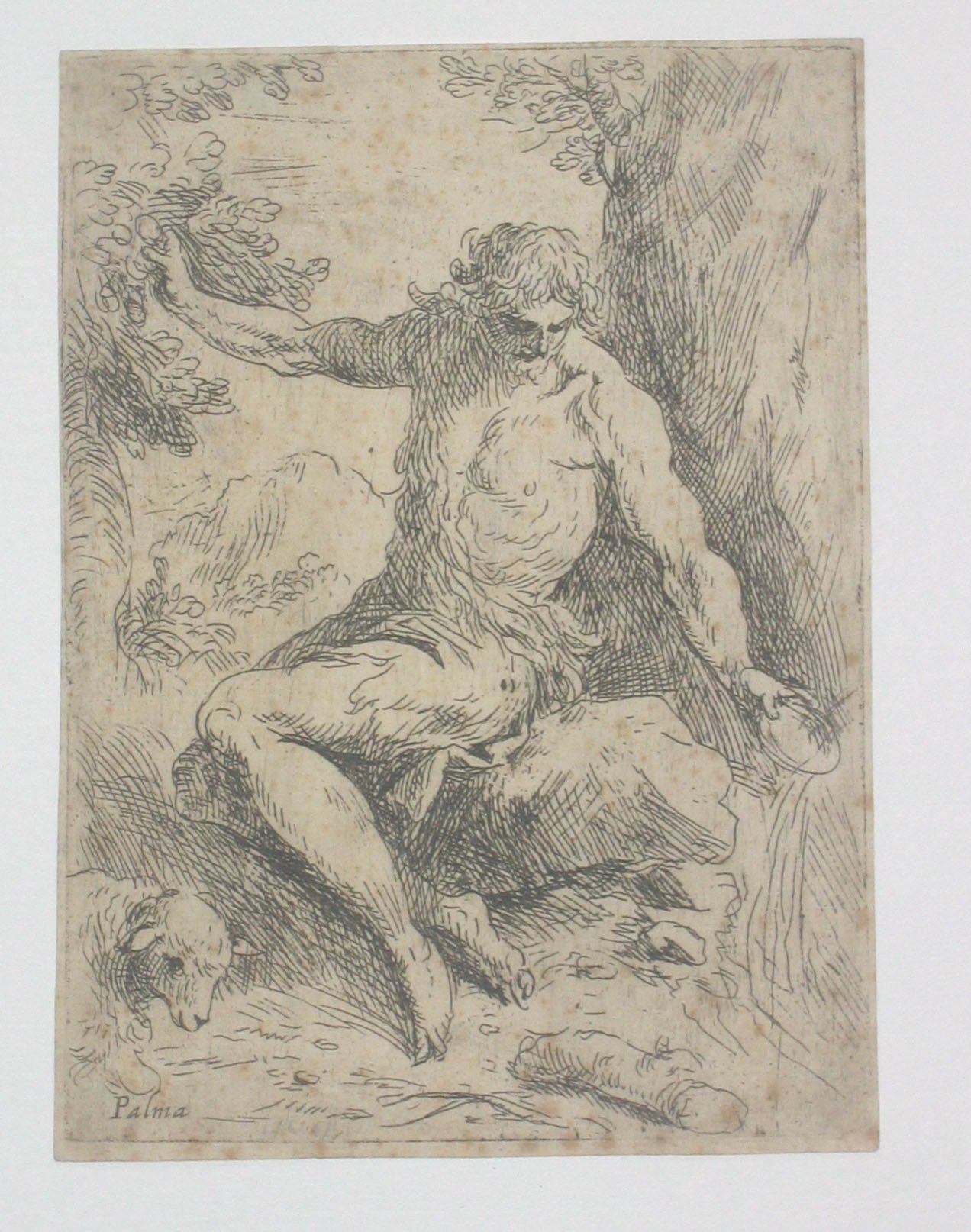 St John Baptist in the Wilderness. 