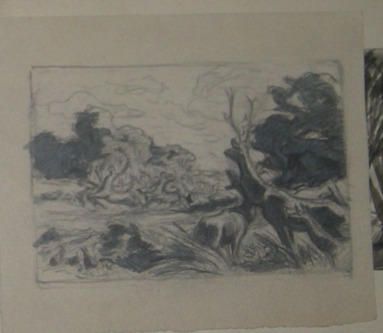 [Un cerf regardant les centaures se battre].